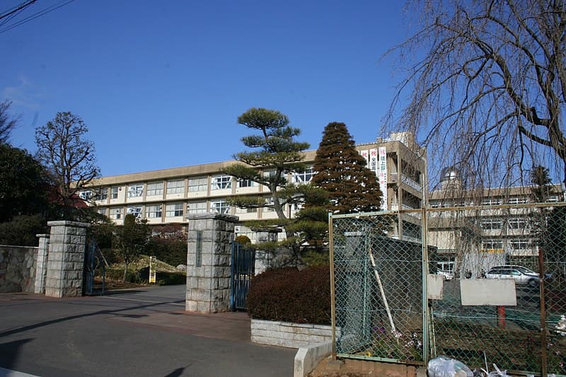 松山高等学校
