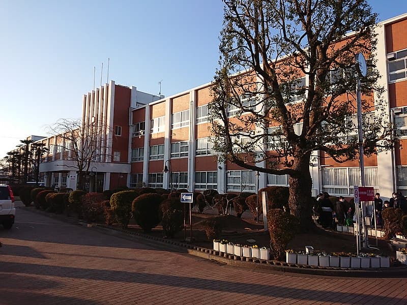 日本体育大学桜華高等学校