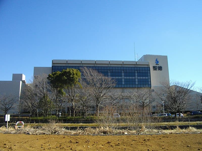 光英VERITAS高等学校